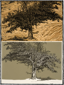 Untitled (Tree), 1972