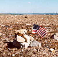 A flag placed in the ground at Fresh Kills